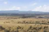 411 Bryants Lane, Deddington, Tas 7212-Image