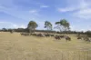 411 Bryants Lane, Deddington, Tas 7212-Image