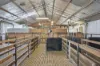 411 Bryants Lane, Deddington, Tas 7212-Image