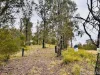 415 Blomfield Road, Yarrowitch, NSW 2354-Image
