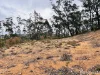 415 Blomfield Road, Yarrowitch, NSW 2354-Image