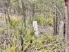 415 Blomfield Road, Yarrowitch, NSW 2354-Image