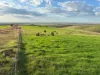 42, Harvey Well Road, Tumby Bay, SA 5605-Image