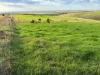 42, Harvey Well Road, Tumby Bay, SA 5605-Image