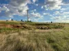 42, Harvey Well Road, Tumby Bay, SA 5605-Image