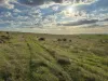 42, Harvey Well Road, Tumby Bay, SA 5605-Image