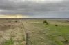 42, Harvey Well Road, Tumby Bay, SA 5605-Image