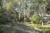 42 Klemm Road, Kapunda, SA 5373-Image
