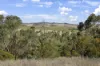 42 Klemm Road, Kapunda, SA 5373-Image