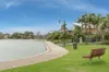 42 Mallard Crescent, Mawson Lakes, SA 5095-Image