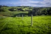 422 O'Gradys Ridge Road, Foster North, Vic 3960-Image