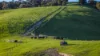 422 O'Gradys Ridge Road, Foster North, Vic 3960-Image