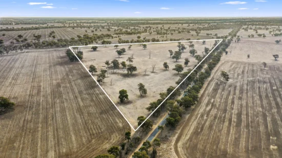 424 Arcadia Two Chain Road, Arcadia South, Vic 3631