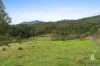 428 Carrowbrook Road, Singleton, NSW 2330-Image
