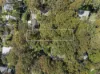 43 Herbert Avenue, Newport, NSW 2106-Image
