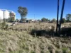 43 Railway Parade, Yelarbon, Qld 4388-Image