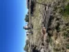 43 Railway Parade, Yelarbon, Qld 4388-Image