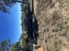 43 Railway Parade, Yelarbon, Qld 4388-Image