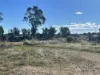 43 Railway Parade, Yelarbon, Qld 4388-Image