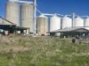 43 Railway Parade, Yelarbon, Qld 4388-Image