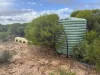 4348 Binnu Road West, Yallabatharra, WA 6535-Image