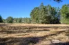 436 Brookhampton Road, Brookhampton, WA 6239-Image