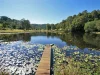 44-47 Coucal Lane, Kin Kin, Qld 4571-Image