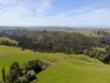 44 Beanhams Road, Wonga, Vic 3960-Image