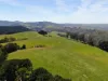 44 Beanhams Road, Wonga, Vic 3960-Image
