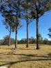 444 Cemetery Road, Briagolong, Vic 3860-Image