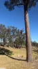 444 Cemetery Road, Briagolong, Vic 3860-Image