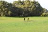 45 Quinlan-Watson Drive, Robe SA 5276-Image