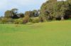 45 Quinlan-Watson Drive, Robe SA 5276-Image