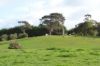 45 Quinlan-Watson Drive, Robe SA 5276-Image