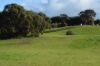 45 Quinlan-Watson Drive, Robe SA 5276-Image