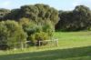 45 Quinlan-Watson Drive, Robe SA 5276-Image