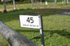 45 Quinlan-Watson Drive, Robe SA 5276-Image