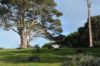 45 Quinlan-Watson Drive, Robe SA 5276-Image