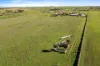 453A Callington Road, Salem, SA 5255-Image