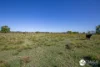46 South West Rocks Road, Hampden Hall, NSW 2440-Image