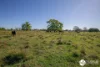 46 South West Rocks Road, Hampden Hall, NSW 2440-Image