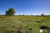 46 South West Rocks Road, Hampden Hall, NSW 2440-Image