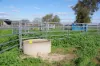 462 Ison Road, Wee Waa, NSW 2388-Image