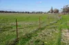 462 Ison Road, Wee Waa, NSW 2388-Image