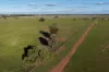 462 Ison Road, Wee Waa, NSW 2388-Image