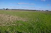 462 Ison Road, Wee Waa, NSW 2388-Image