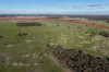 462 Ison Road, Wee Waa, NSW 2388-Image