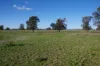 462 Ison Road, Wee Waa, NSW 2388-Image