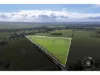 463, Moody Road, Cambrai, SA 5353-Image