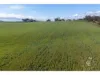 463, Moody Road, Cambrai, SA 5353-Image